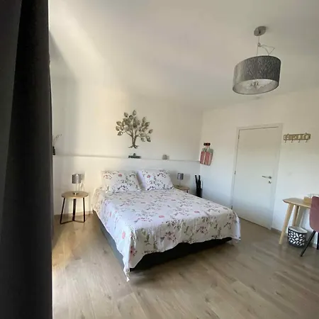 Wellness Mama Mia 4* Obrovac