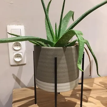 Bed- And Breakfast B&B Mama Mia 4* Obrovac